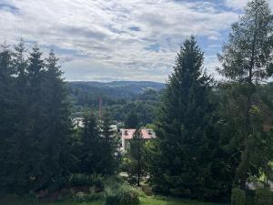 Prodej bytu 3+1, Benešov u Semil, 73 m2