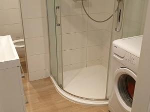 Pronájem bytu 1+kk, Teplice, Petra Jilemnického, 30 m2