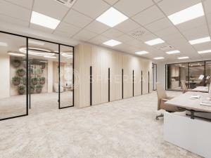 Pronájem kanceláře, Brno - Brno-město, Masarykova, 505 m2