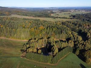 Prodej pozemku, Benešov nad Černou - Klení, 6805 m2