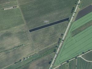 Prodej sadu/vinice, Hovorany, 3926 m2