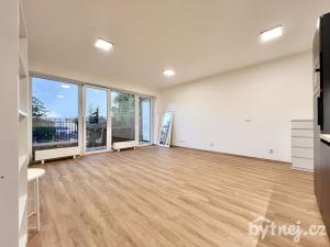 Pronájem bytu 1+kk, Brno - Staré Brno, Hybešova, 38 m2