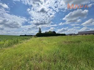 Prodej pozemku, Kadaň, Vinohrady, 1605 m2