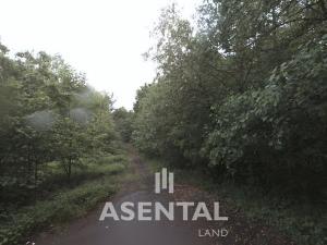 Prodej pozemku, Orlová - Lazy, 4106 m2