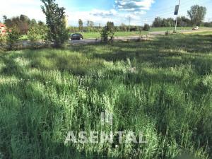 Prodej komerčního pozemku, Orlová - Poruba, U Haldy, 424 m2