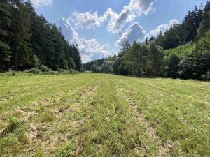 Prodej pole, Kaplice - Blansko, 843 m2