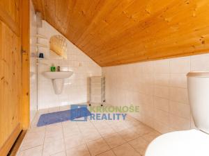 Prodej chaty, Černý Důl, 340 m2