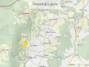 Prodej louky, Přimda - Málkov, 14133 m2