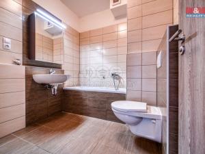 Pronájem bytu 2+kk, Plzeň - Jižní Předměstí, Poděbradova, 43 m2