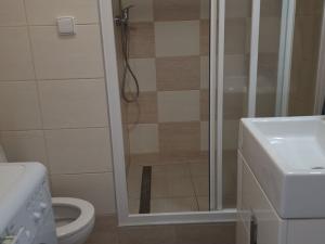 Pronájem bytu 1+1, Hustopeče, Školní, 30 m2