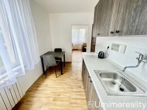 Pronájem bytu 1+1, Mladá Boleslav, Zalužanská, 45 m2