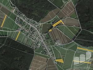 Prodej pole, Dolce, 31522 m2