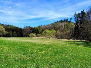Prodej chaty, Všechlapy, 50 m2