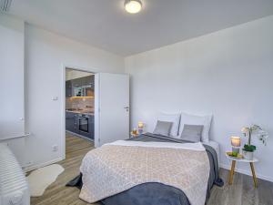 Pronájem bytu 3+1, Chomutov, Seifertova, 69 m2