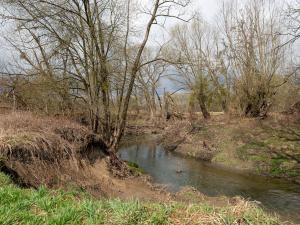 Prodej rodinného domu, Havířov - Bludovice, Luční, 120 m2