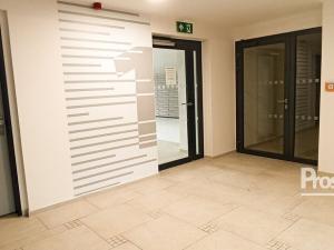 Pronájem bytu 1+kk, Kladno, Štěpána Rautenstraucha, 33 m2