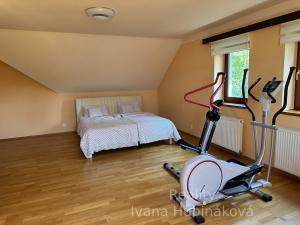 Prodej rodinného domu, Písek - Hradiště, K Háječku, 185 m2
