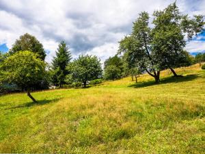 Prodej chaty, Jetřichovice - Rynartice, 348 m2