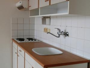 Pronájem bytu 1+kk, Liberec - Liberec XXX-Vratislavice nad Nisou, U Sila, 38 m2