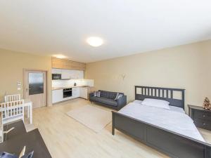 Pronájem bytu 1+kk, Olomouc, Wolkerova, 41 m2