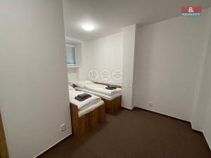 Pronájem bytu 1+kk, Ostrava - Vítkovice, Lidická, 30 m2