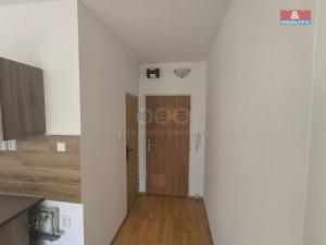 Pronájem bytu 1+1, Chomutov, Růžová, 36 m2