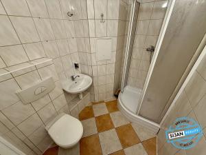 Pronájem bytu 1+kk, Opava, Ratibořská, 22 m2