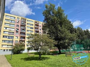 Pronájem bytu 1+kk, Opava, Ratibořská, 22 m2