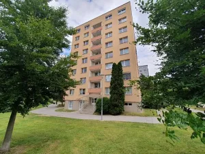 Prodej bytu 1+kk, Brno, Opálkova, 26 m2