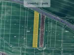 Prodej pole, Konice, 5560 m2