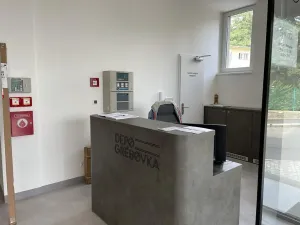 Pronájem bytu 2+kk, Praha - Vinohrady, Perucká, 41 m2