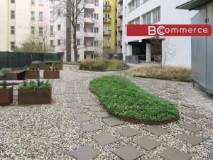 Pronájem kanceláře, Brno, 60 m2