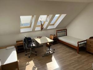 Pronájem bytu 1+kk, Pardubice, Smilova, 20 m2