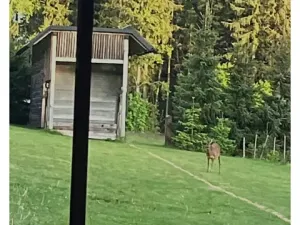 Prodej rodinného domu, Janské Lázně, Janská, 48 m2