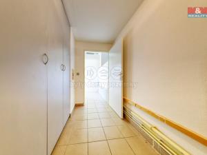 Prodej obchodního prostoru, Písek, Čechova, 53 m2