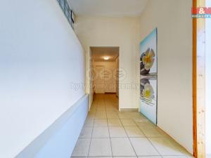 Prodej obchodního prostoru, Písek, Čechova, 53 m2