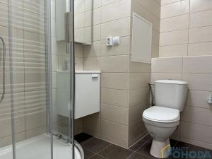 Pronájem bytu 2+kk, Vysoké Mýto, Českých bratří, 35 m2