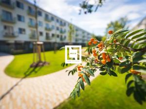 Pronájem bytu 2+kk, Ostrava, Hasičská, 44 m2