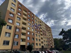 Pronájem bytu 1+1, Hodonín, Lesní, 33 m2
