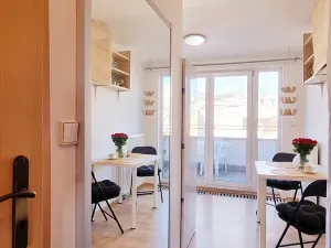 Pronájem bytu 1+1, Brno, Jircháře, 45 m2