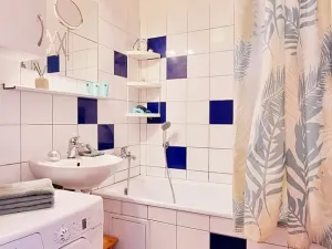 Pronájem bytu 1+1, Brno, Jircháře, 45 m2