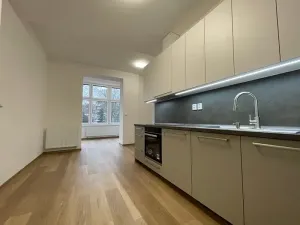 Pronájem bytu 2+kk, Plzeň, Mánesova, 53 m2