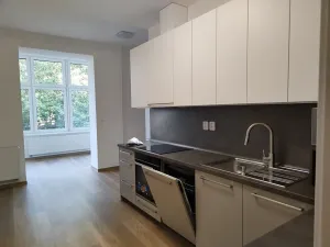 Pronájem bytu 2+kk, Plzeň, Mánesova, 53 m2