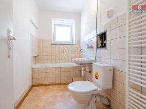 Prodej bytu 2+1, České Budějovice - České Budějovice 3, Čéčova, 52 m2