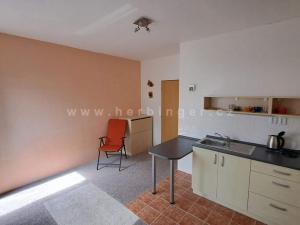 Prodej bytu 1+kk, Krásná, 25 m2