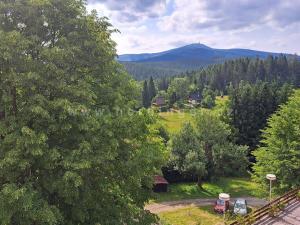 Prodej bytu 1+kk, Krásná, 25 m2