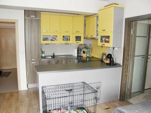 Pronájem bytu 2+kk, Plzeň, Květná, 51 m2