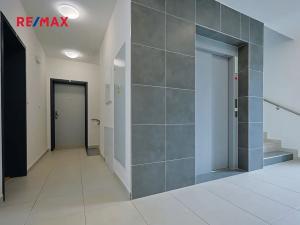 Pronájem bytu 2+kk, Plzeň, Nad Dvorem, 54 m2