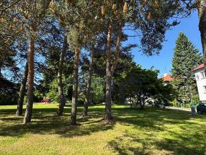 Prodej bytu 1+kk, Žďár nad Sázavou - Žďár nad Sázavou 1, Lučiny, 35 m2