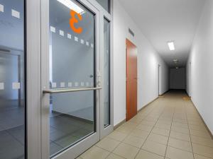 Prodej bytu 3+kk, Praha - Žižkov, U staré cihelny, 73 m2